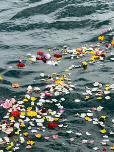 Flower petals in water